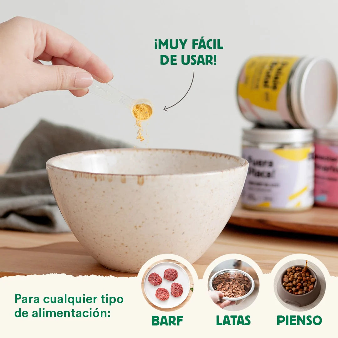 DIGESTIONES FIRMES 🍽️ - Prebiótico regulador problemas intestinales y digestivos