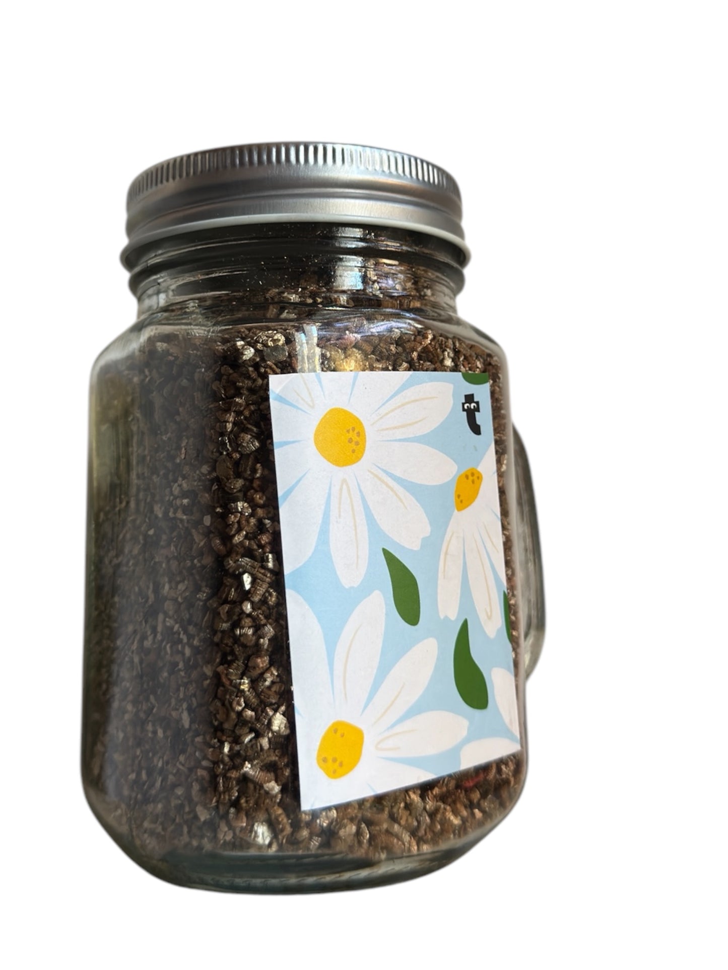 KIT CULTIVA TUS MARGARITAS 🌼