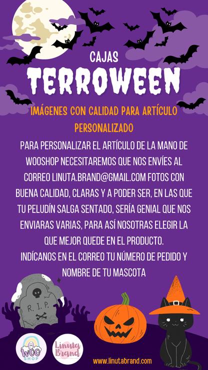 CAJA TERROWEEN PREMIUM 🎃👻