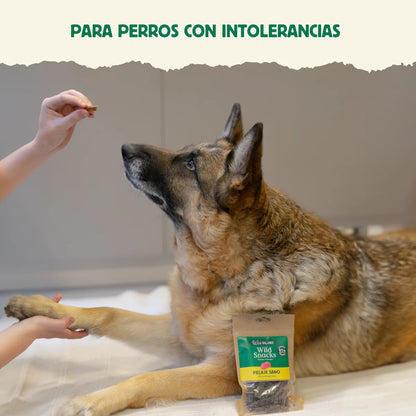 PELAJE SANO 💪🏼 - VENADO 🦌