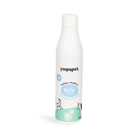 KÉFIR ARÁNDANOS 🫐 Y BRÓCOLI 🥦 200ml